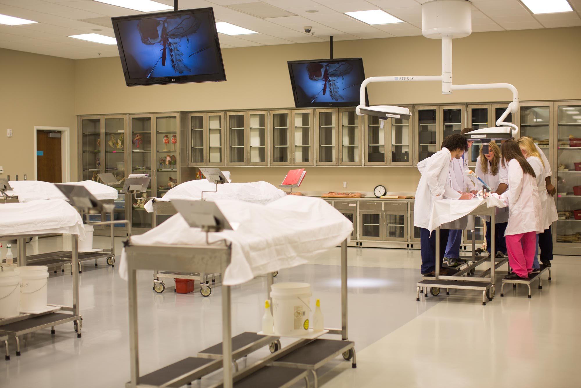 Biology Medical Sciences Degree Pre Med/Pre Dental Program