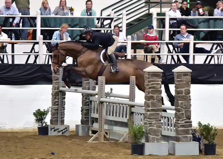 MC's newest horse, E.S. Cassini Grand in action.