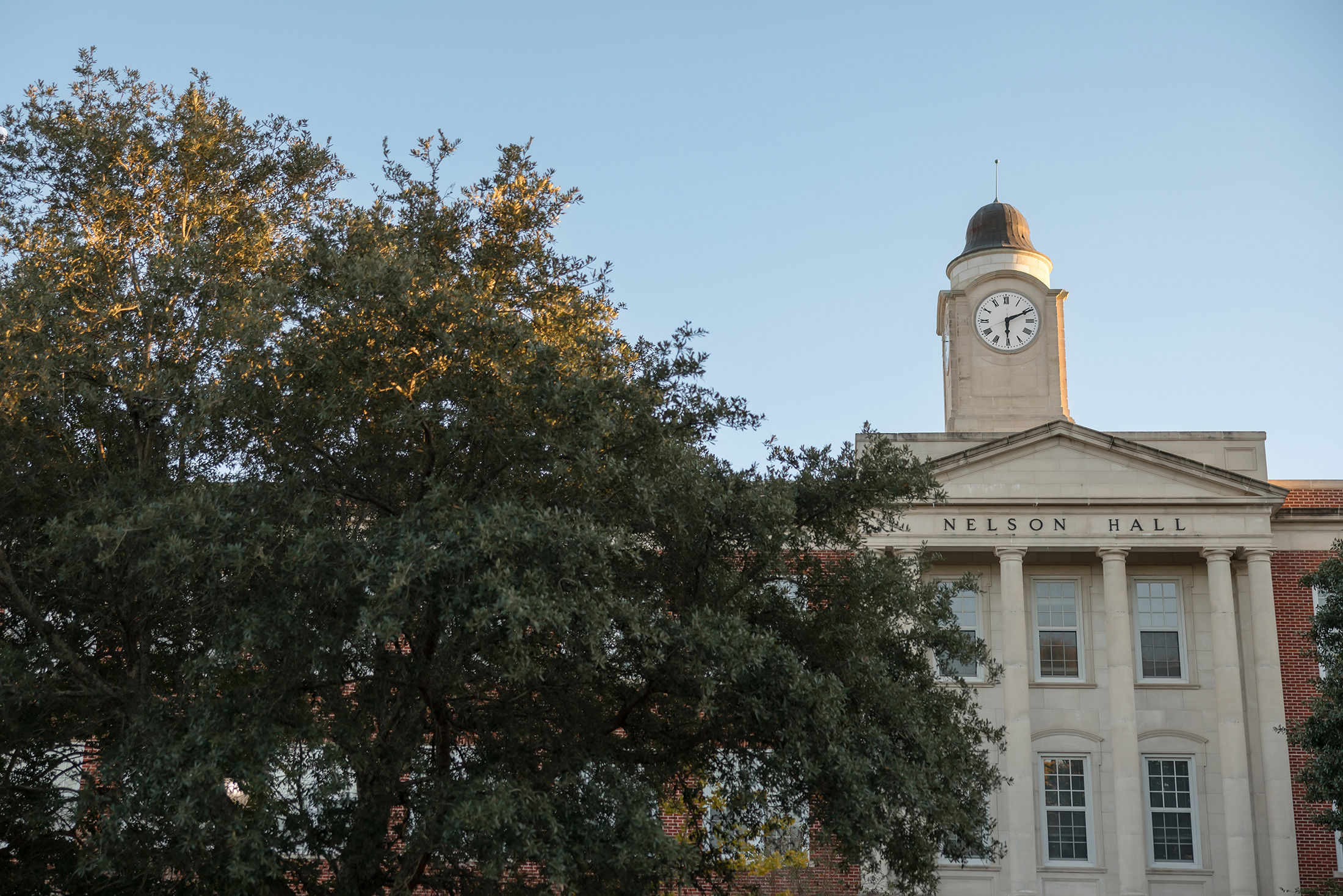 Photo of Nelson Hall