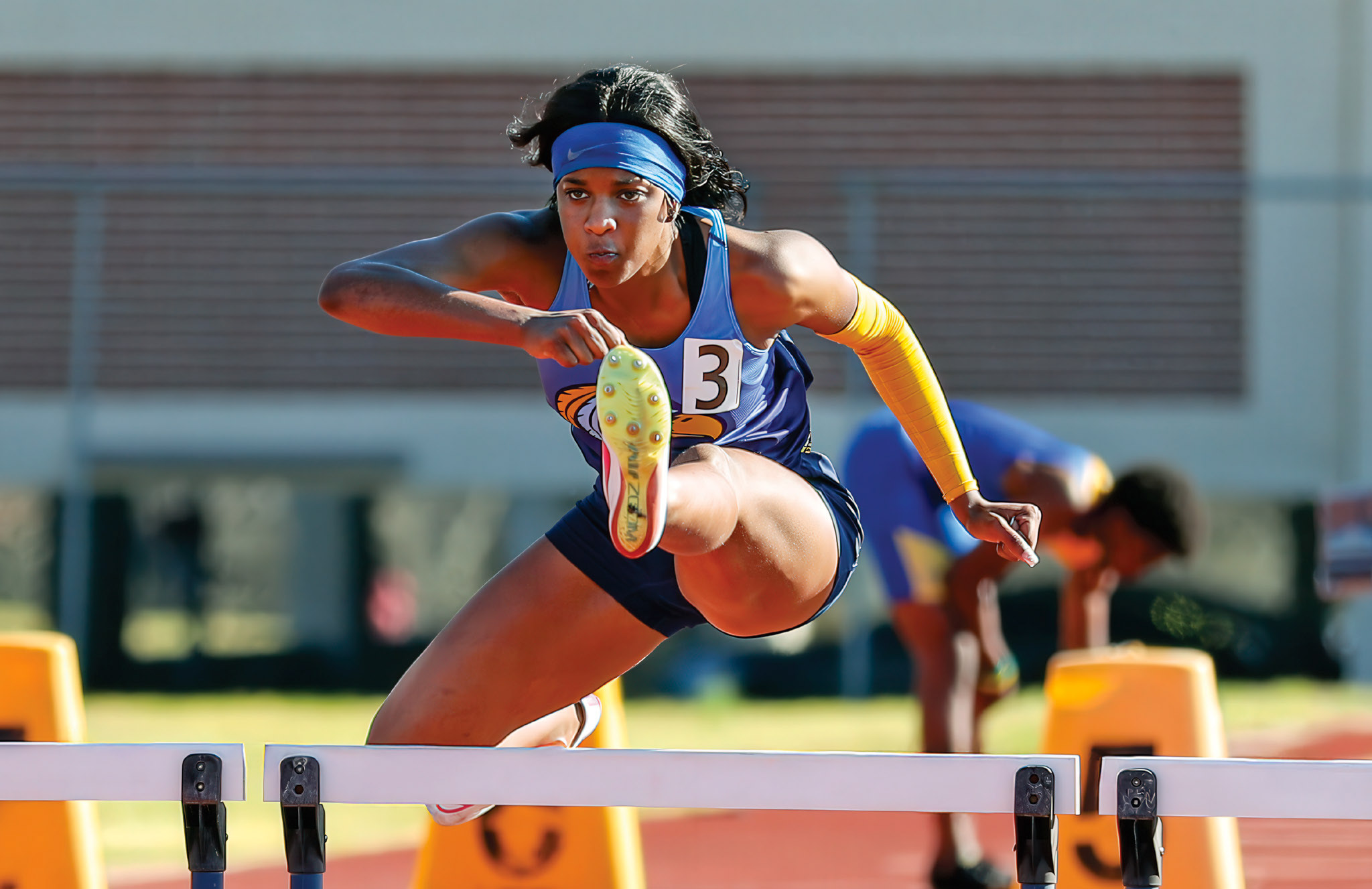 hurdles.jpg
